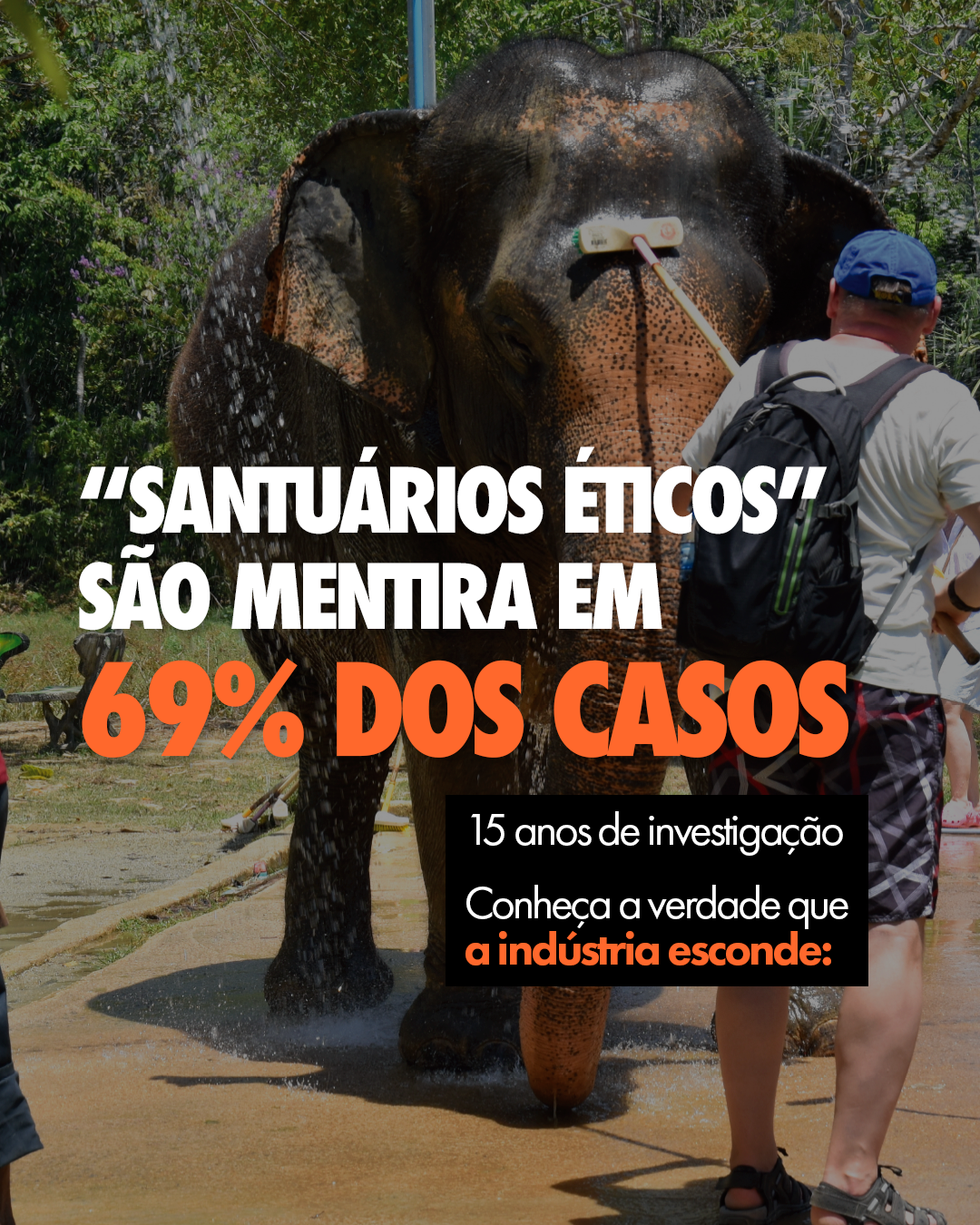 Carrossel: Para eles, também é uma experiência inesquecível 2