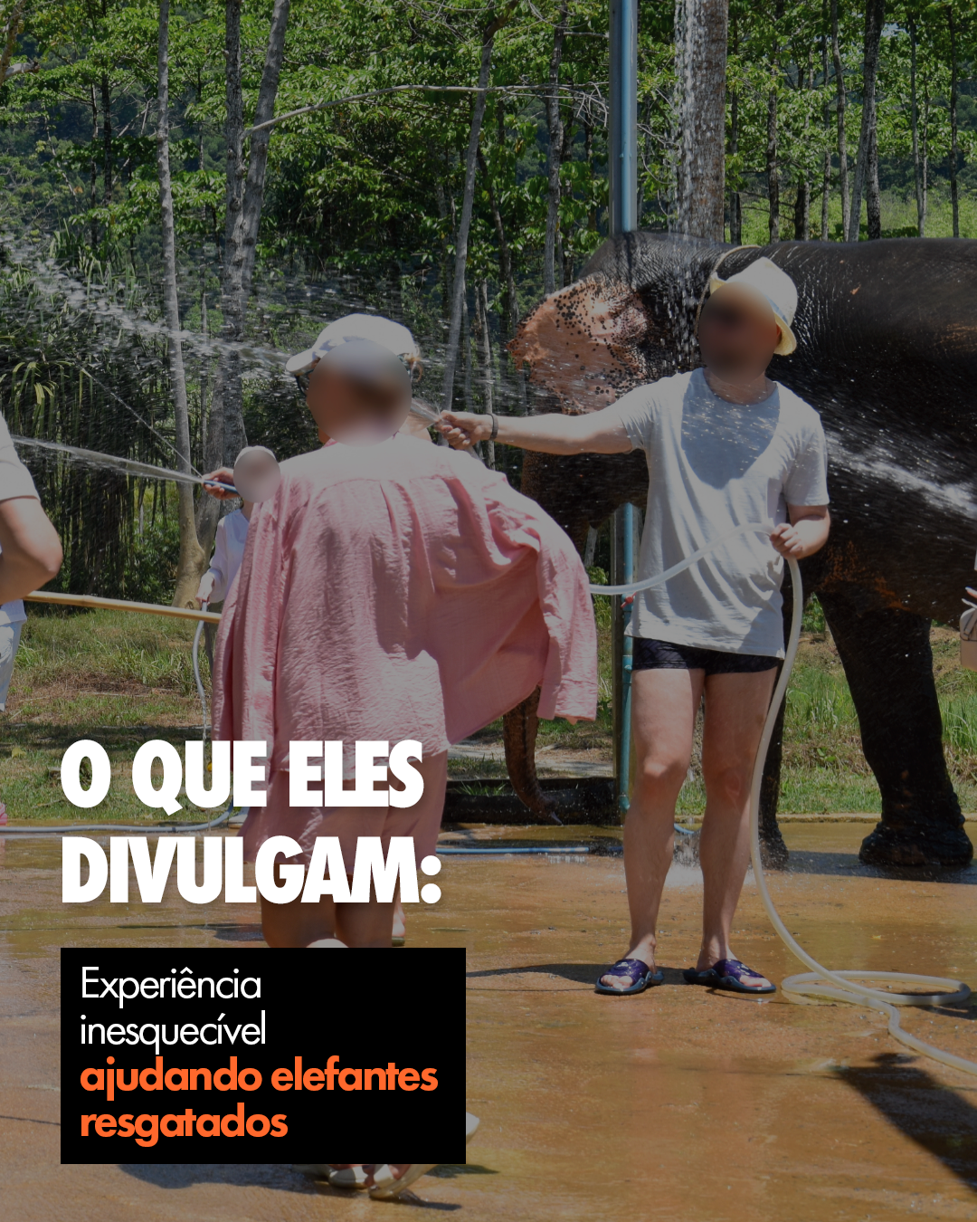 Carrossel: Para eles, também é uma experiência inesquecível 3