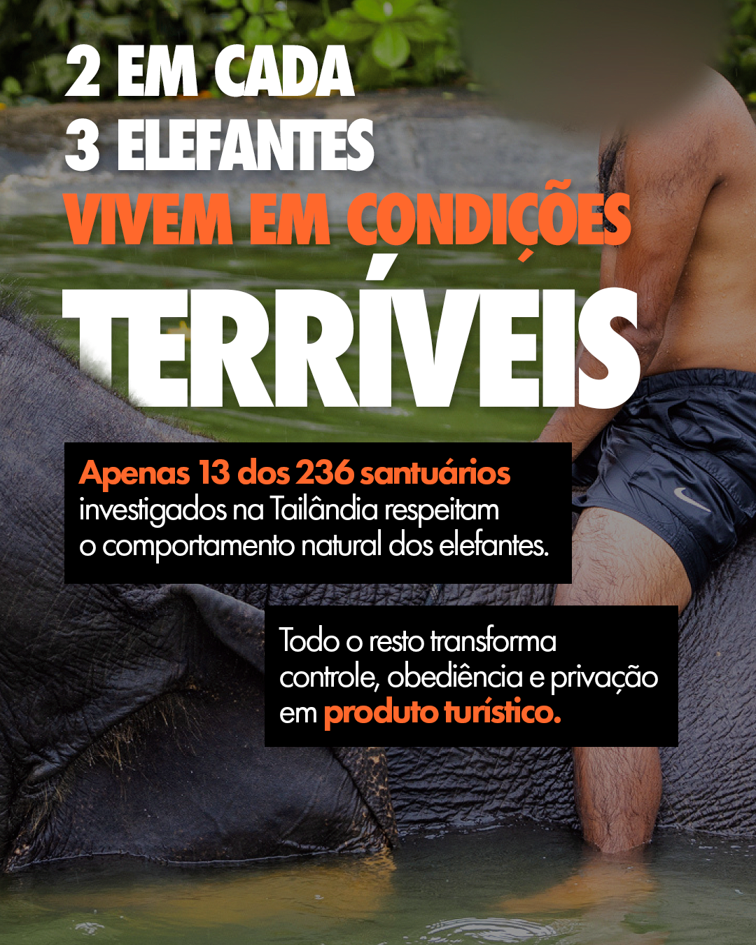 Carrossel: Para eles, também é uma experiência inesquecível 5