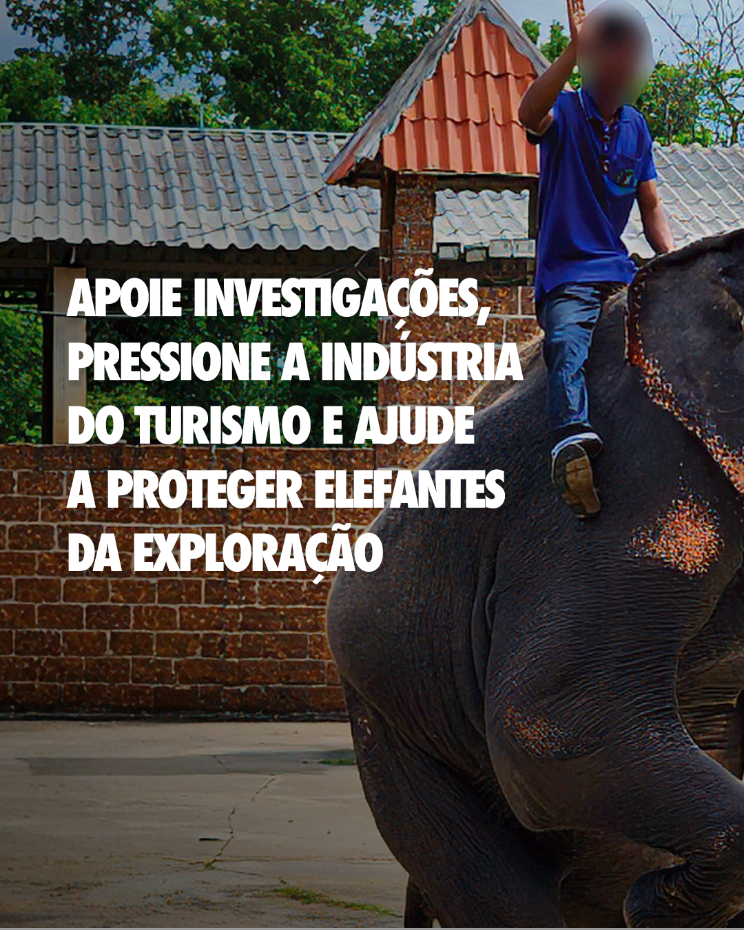 Carrossel: Retrato da tortura 6