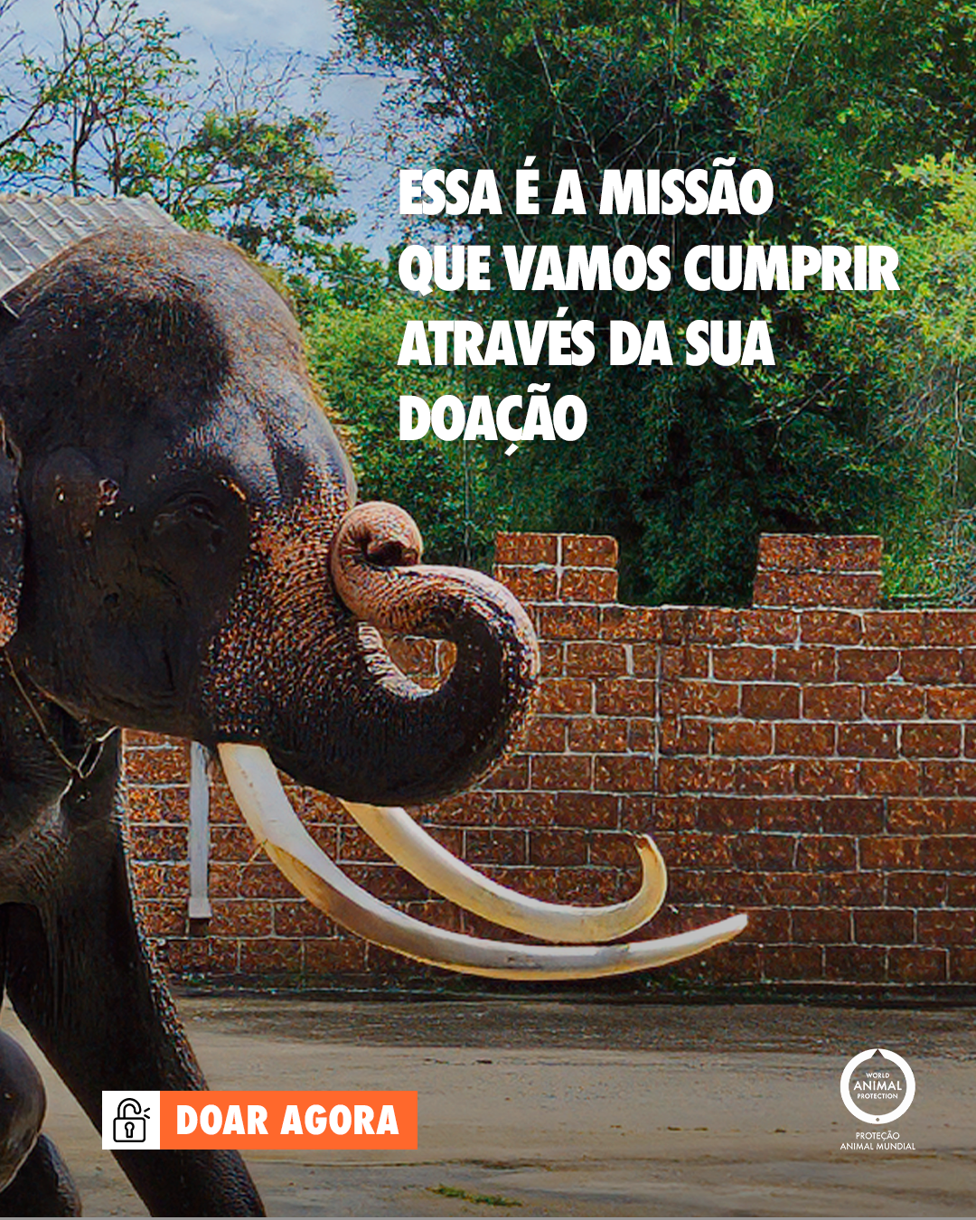 Carrossel: Retrato da tortura 7