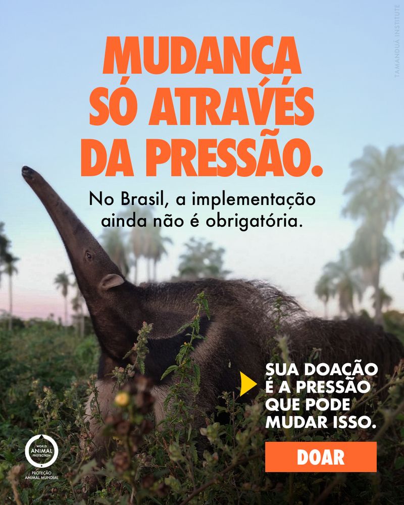 WAP campaign creative: change only comes through pressure