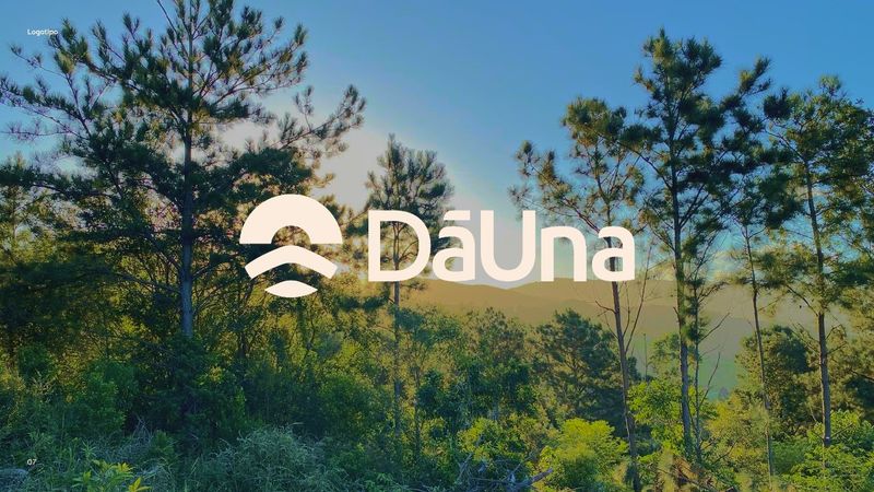 A marca DāUna em bege sobre foto da mata ao amanhecer