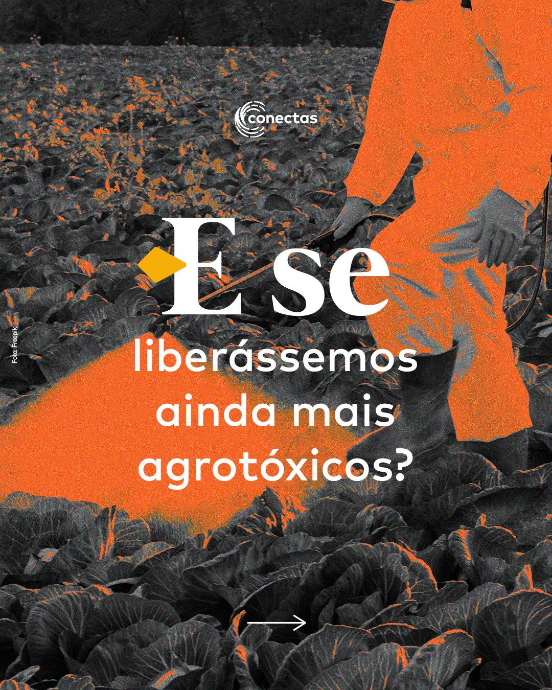 Carrossel: Pacote da Destruição 2