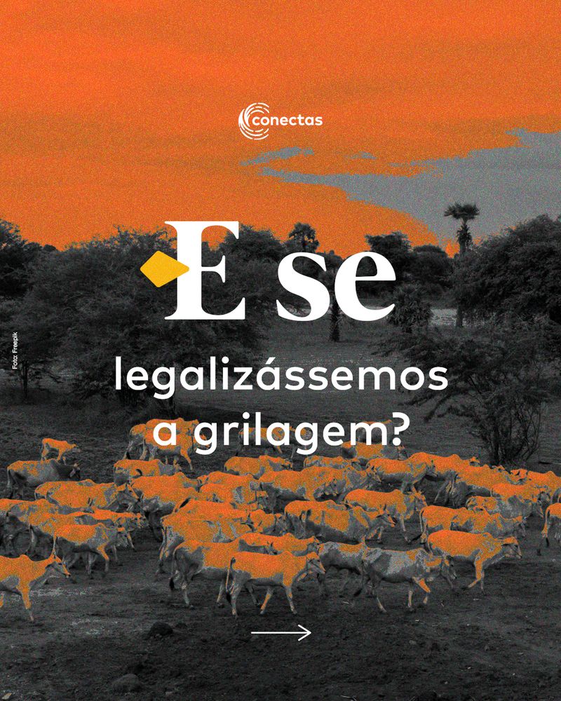 Carrossel: Pacote da Destruição 4