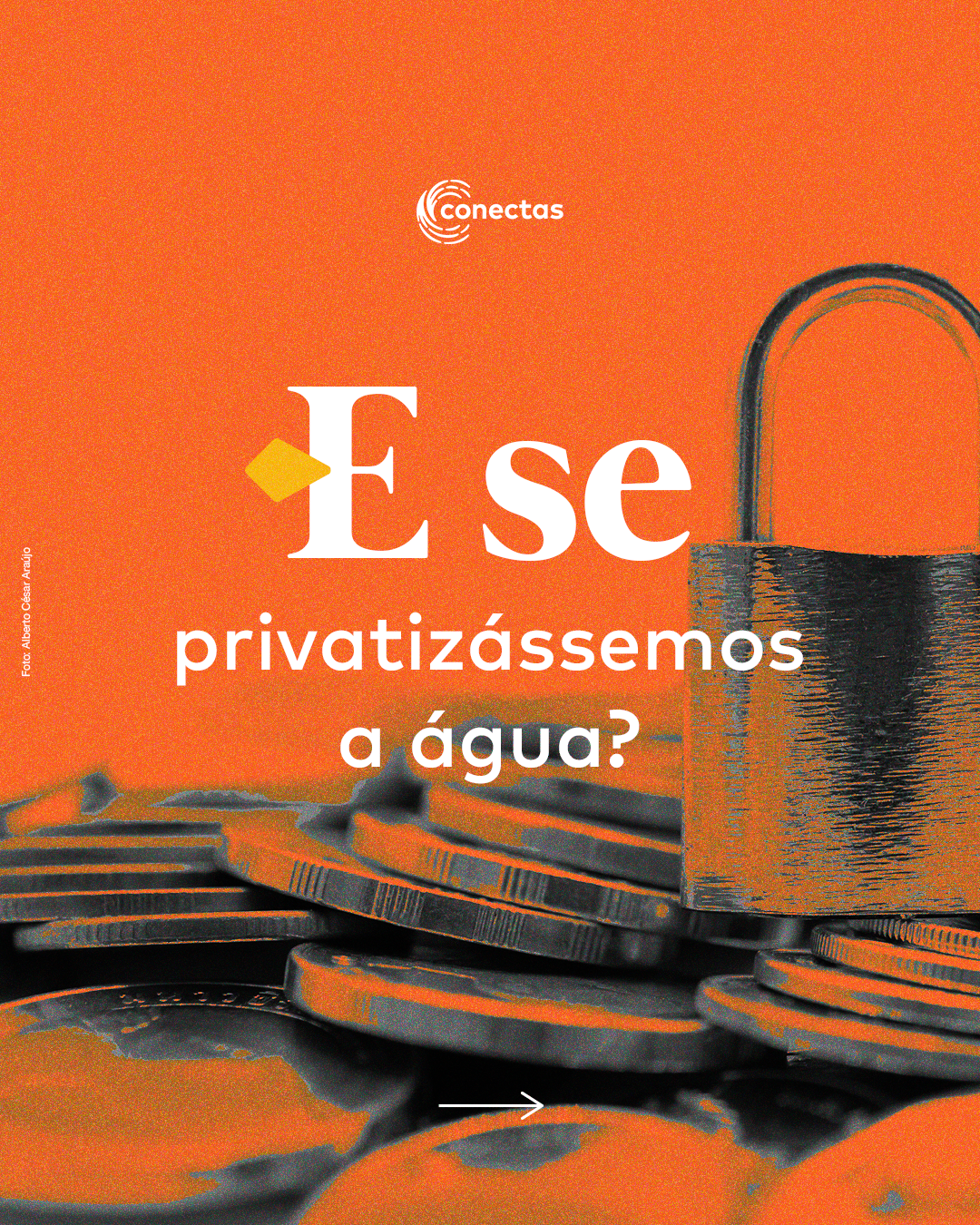 Carrossel: Pacote da Destruição 5